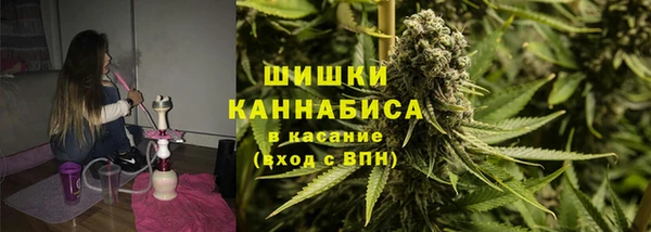 СК Каменногорск