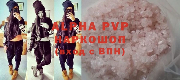 СК Каменногорск